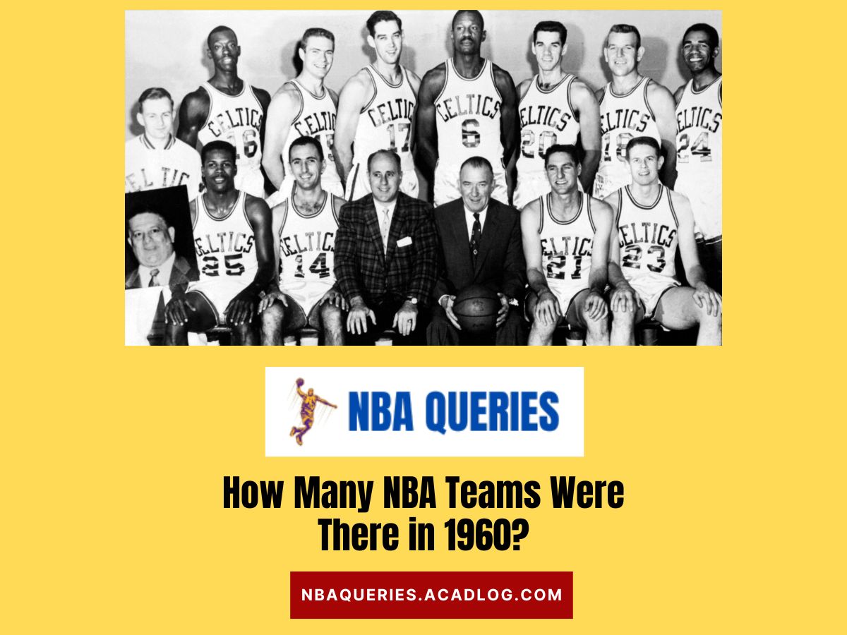 NBA teams in 1960